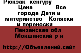 Рюкзак -кенгуру Baby Bjorn  › Цена ­ 2 000 - Все города Дети и материнство » Коляски и переноски   . Пензенская обл.,Мокшанский р-н